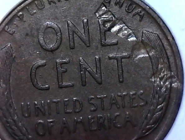 1951-D-Lincoln-Wheat-Cent-With-Huge-Delamination-Thank-You-Ramjethero!